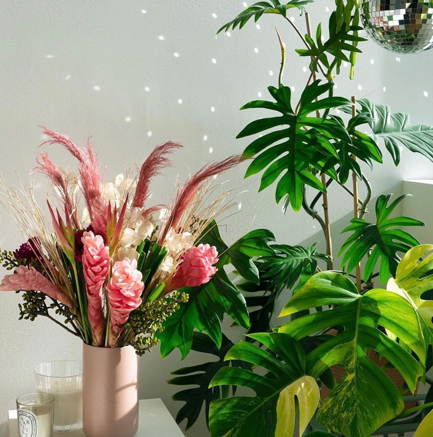 Official UrbanStems Flower & Plant Same Day Delivery » NYC, DC